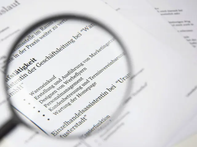 Resume Format Guide